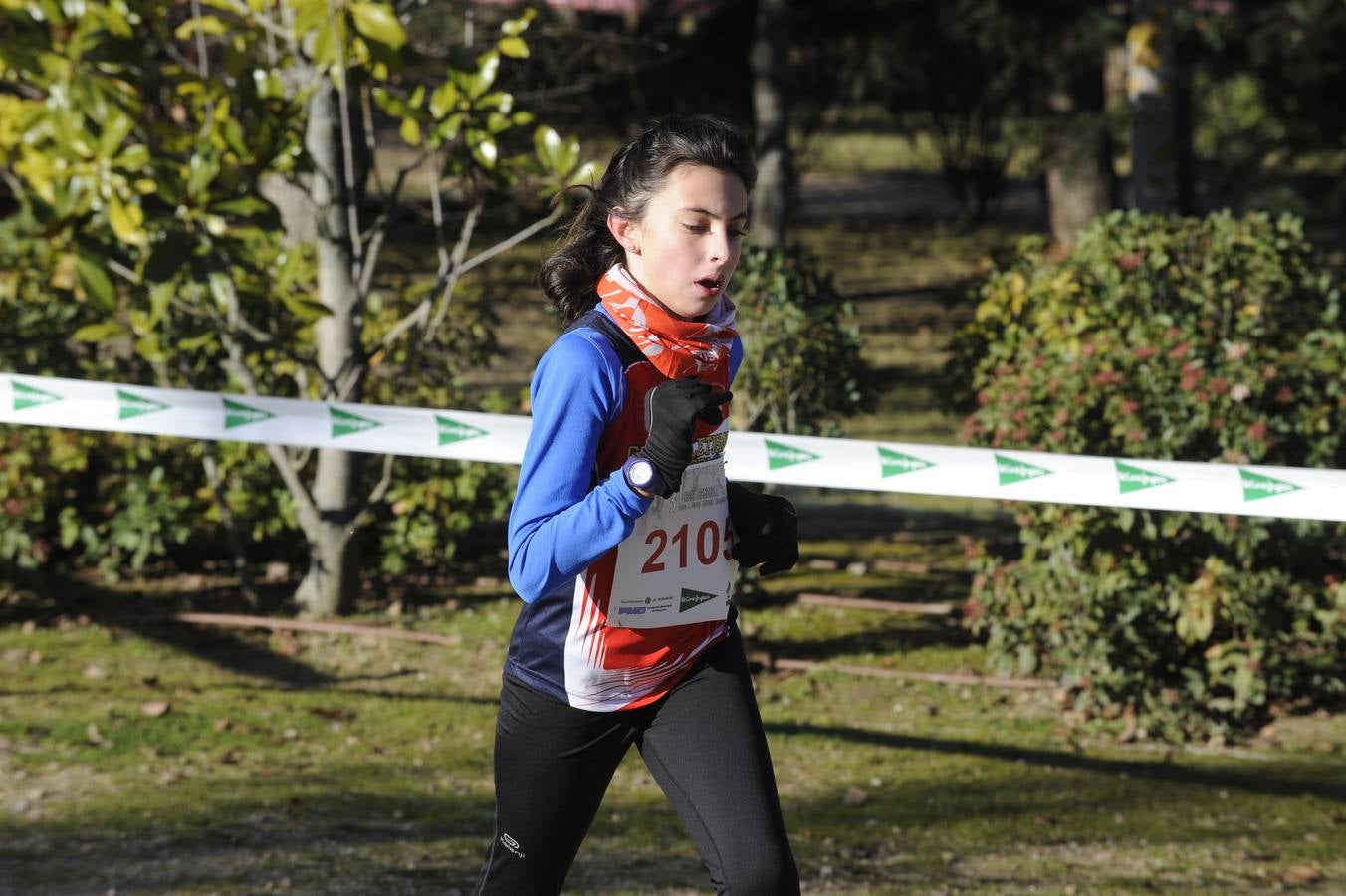 XXXI Cross de las Doce Uvas (7/8)