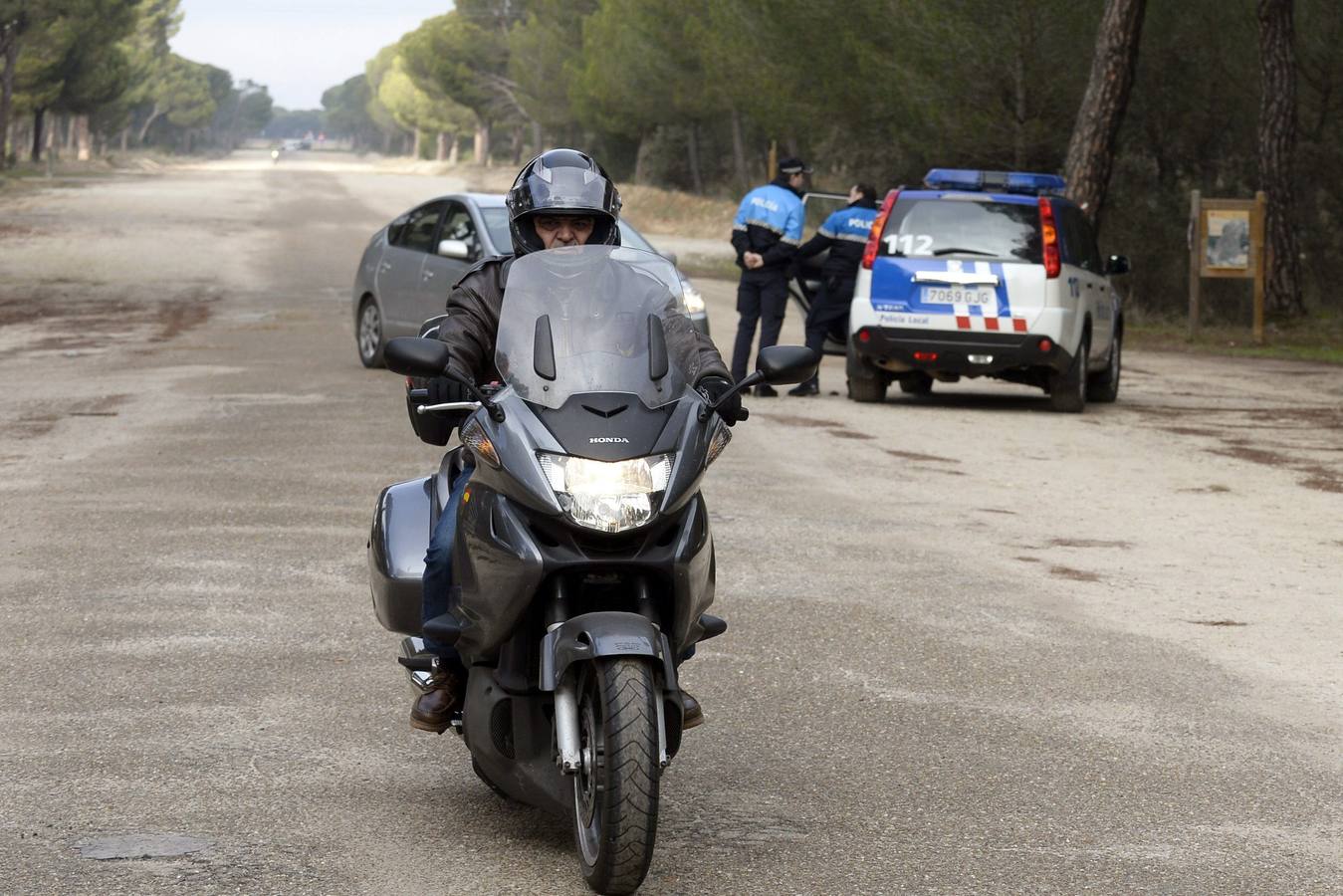 Vigilancia en el Pinar de Antequera ante la llegada de &#039;pingüinos&#039;