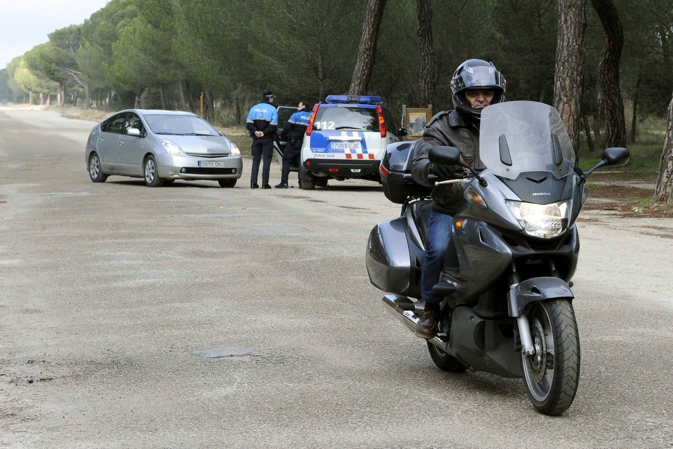 Vigilancia en el Pinar de Antequera ante la llegada de &#039;pingüinos&#039;