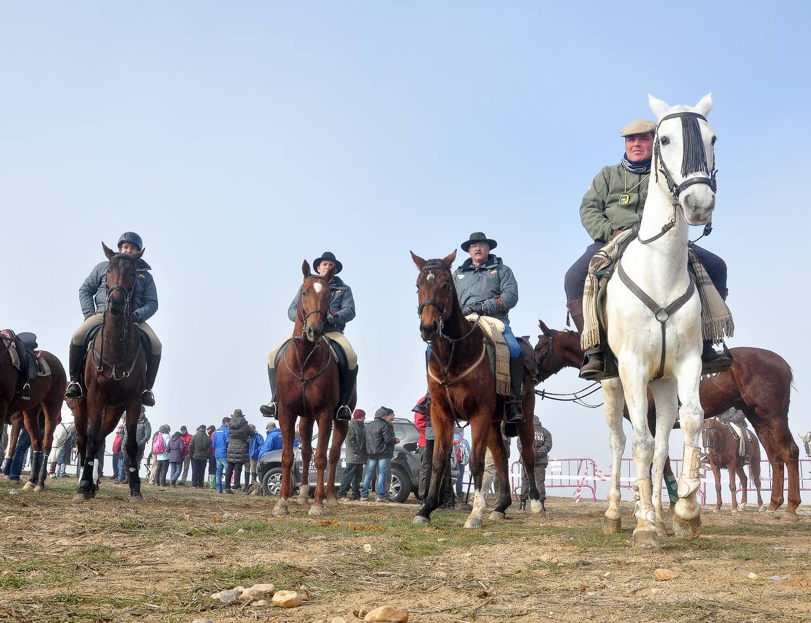 Primera jornada del Campeonato Nacional de Galgos