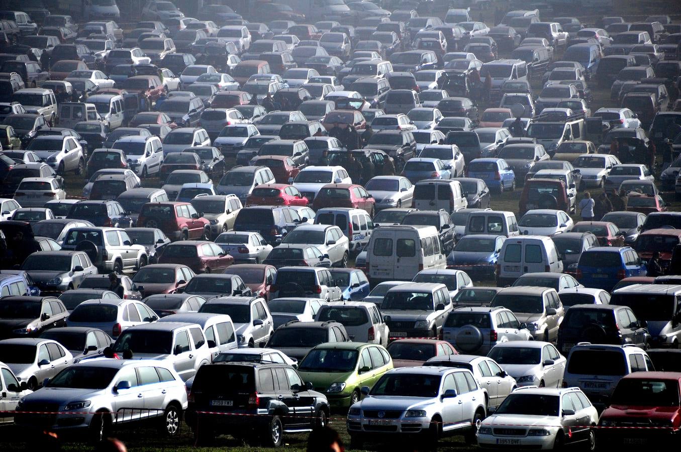 Primera jornada del Campeonato Nacional de Galgos