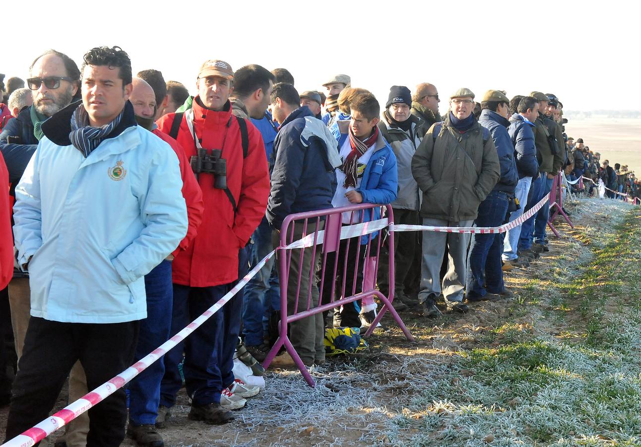 Primera jornada del Campeonato Nacional de Galgos
