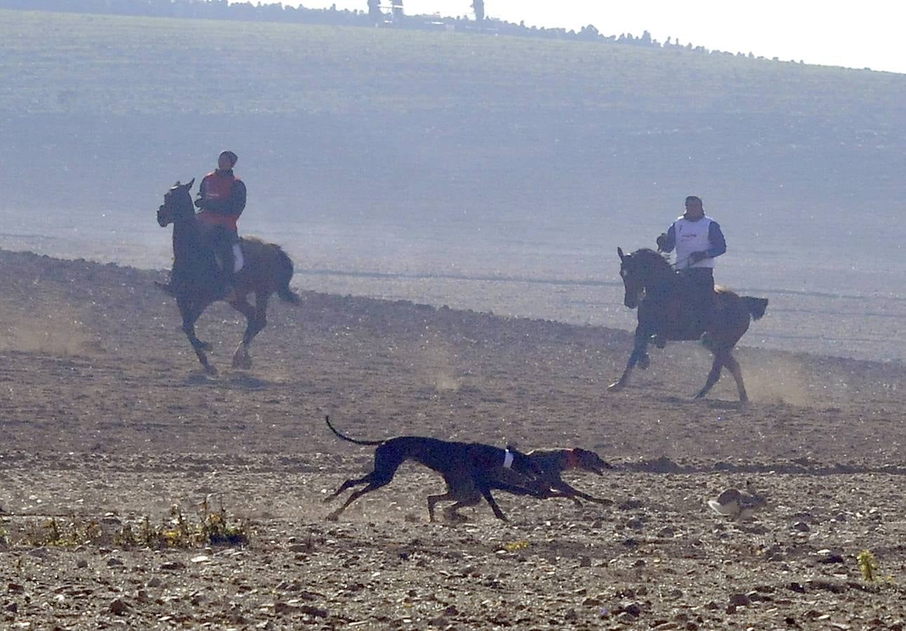 Primera jornada del Campeonato Nacional de Galgos