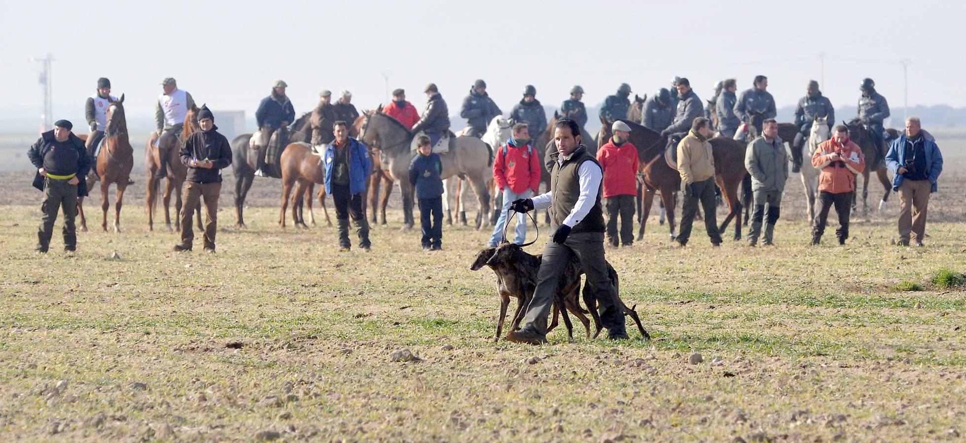 Segunda jornada del Campeonato Nacional de Galgos