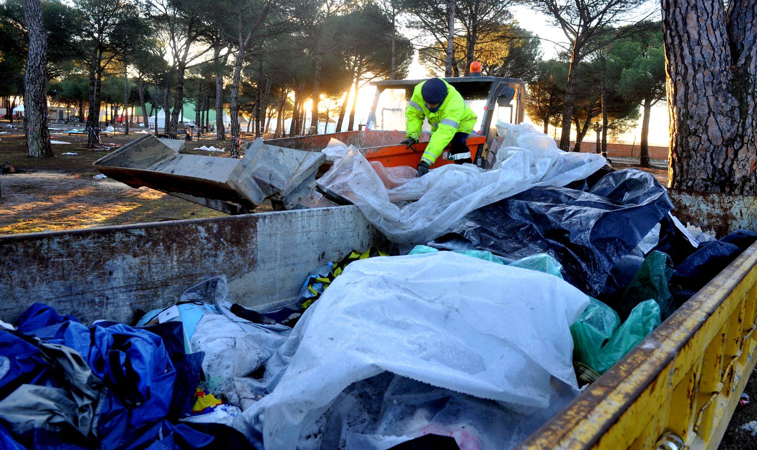 Trabajos de limpieza del pinar de Tordesillas tras el paso de Motauros