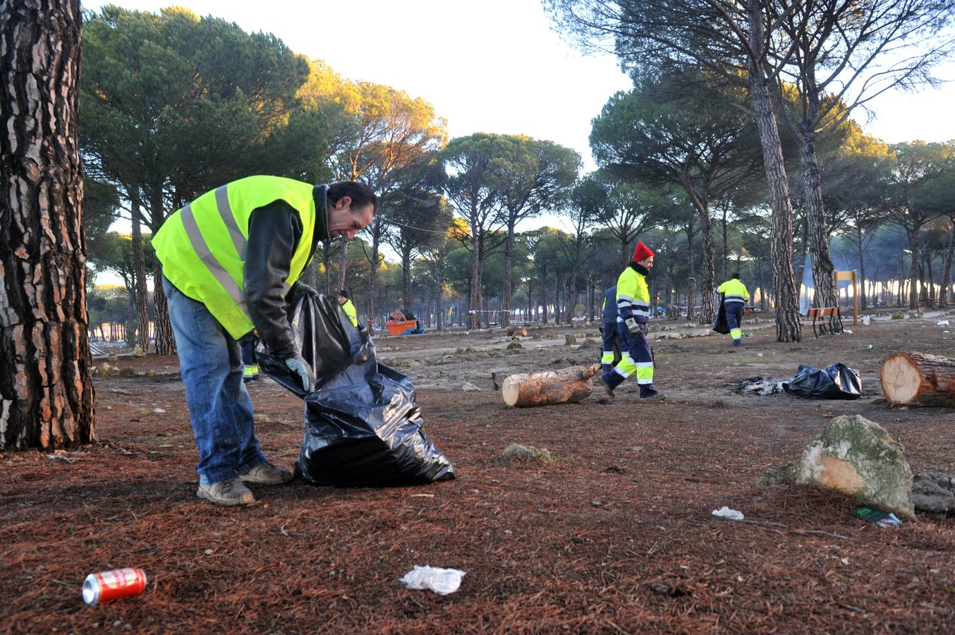 Trabajos de limpieza del pinar de Tordesillas tras el paso de Motauros