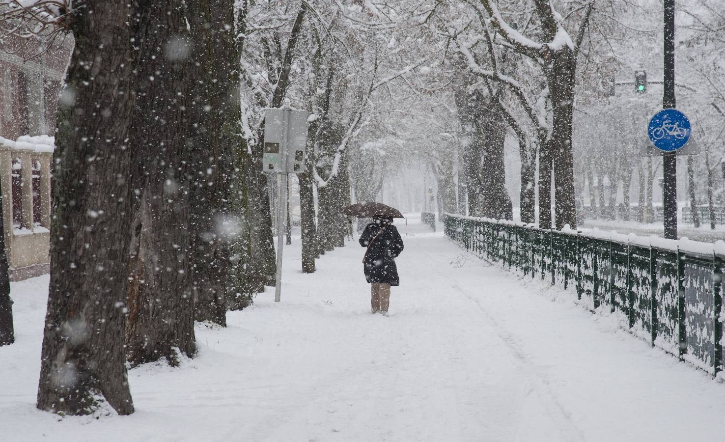 Temporal de nieve en la capital y provincia burgalesa.