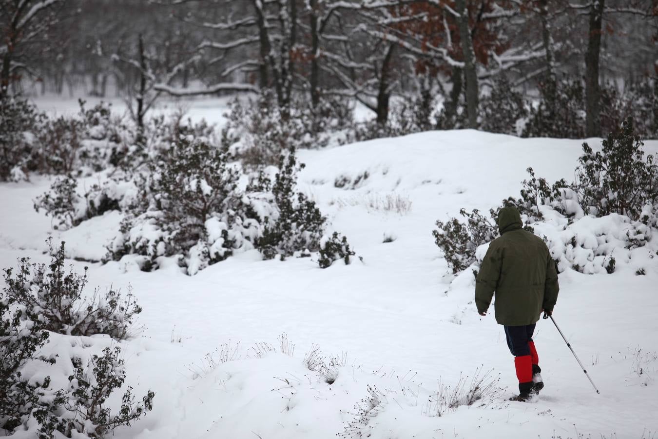 Nevada en la capital segoviana.