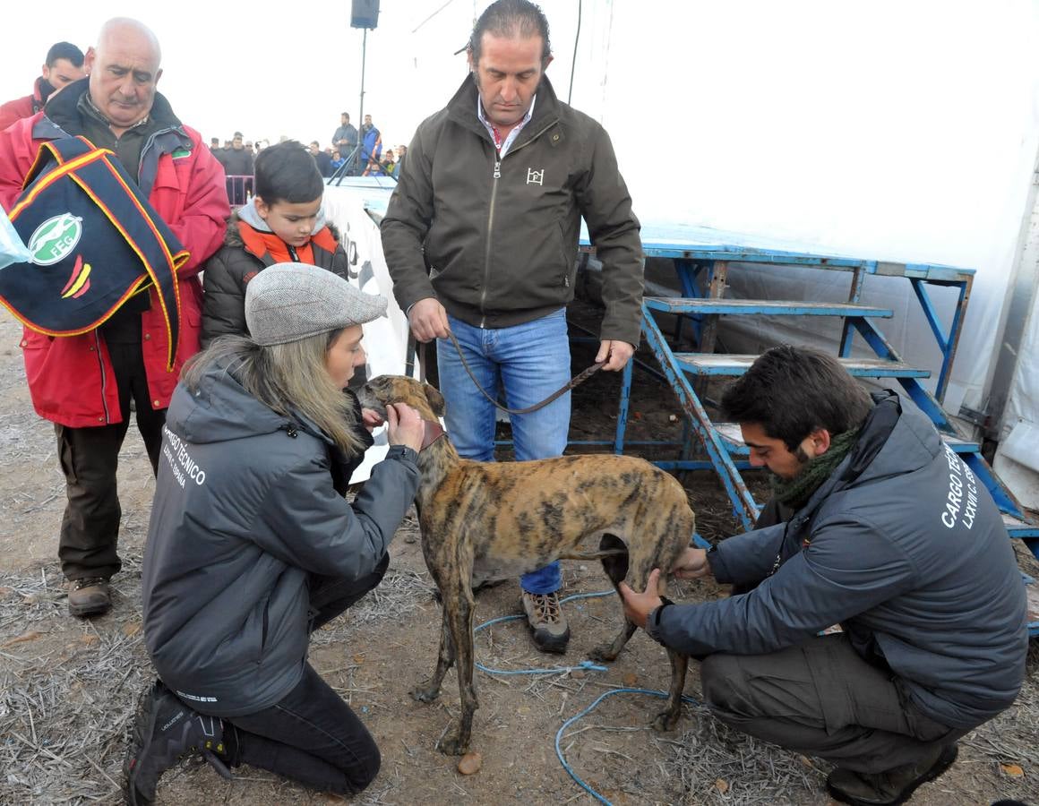 Final del Campeonato Nacional de Galgos en Campo 2015