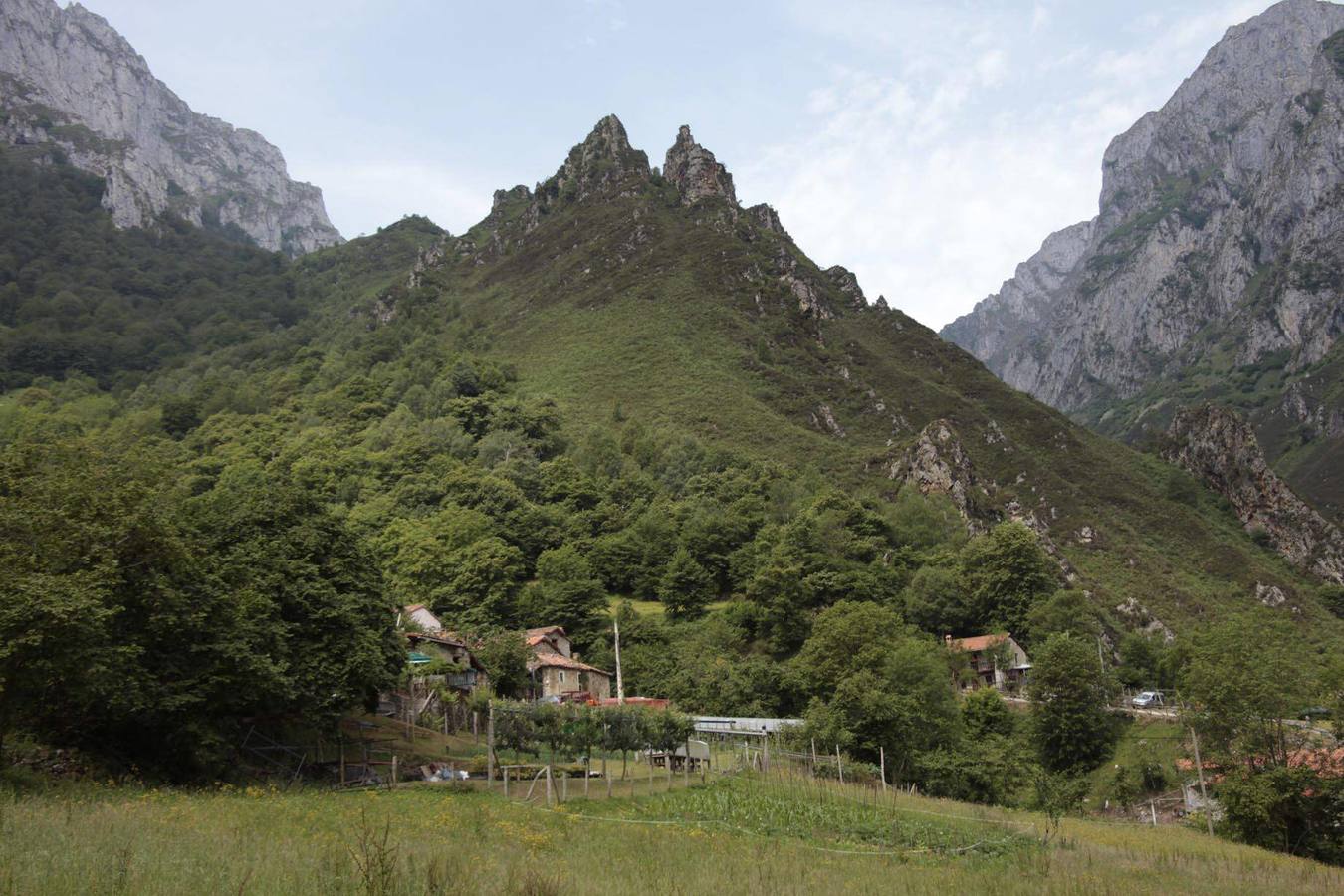 Ampliación del Parque Nacional de Picos de Europa