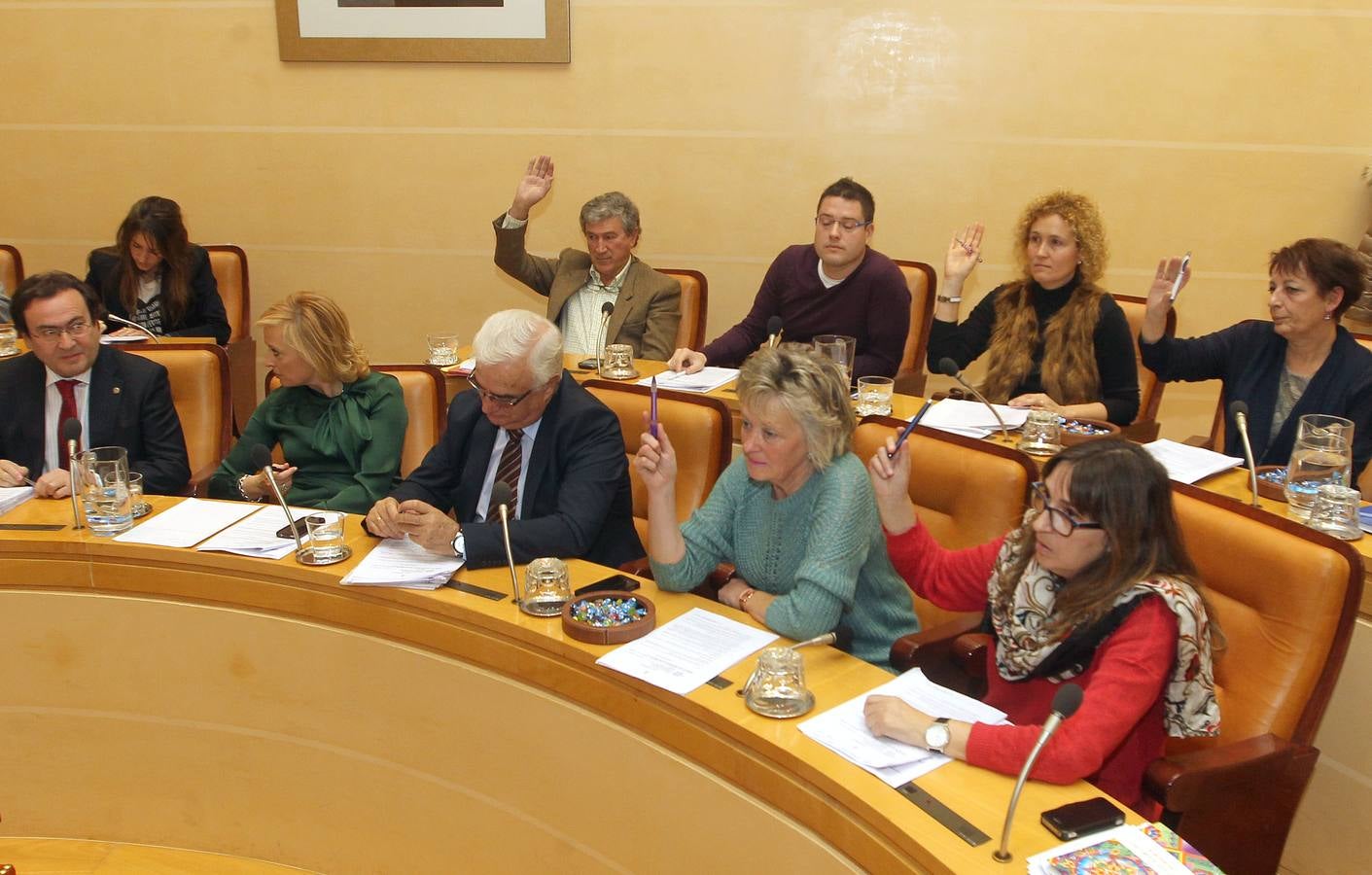 Pleno en el Ayuntamiento de Segovia