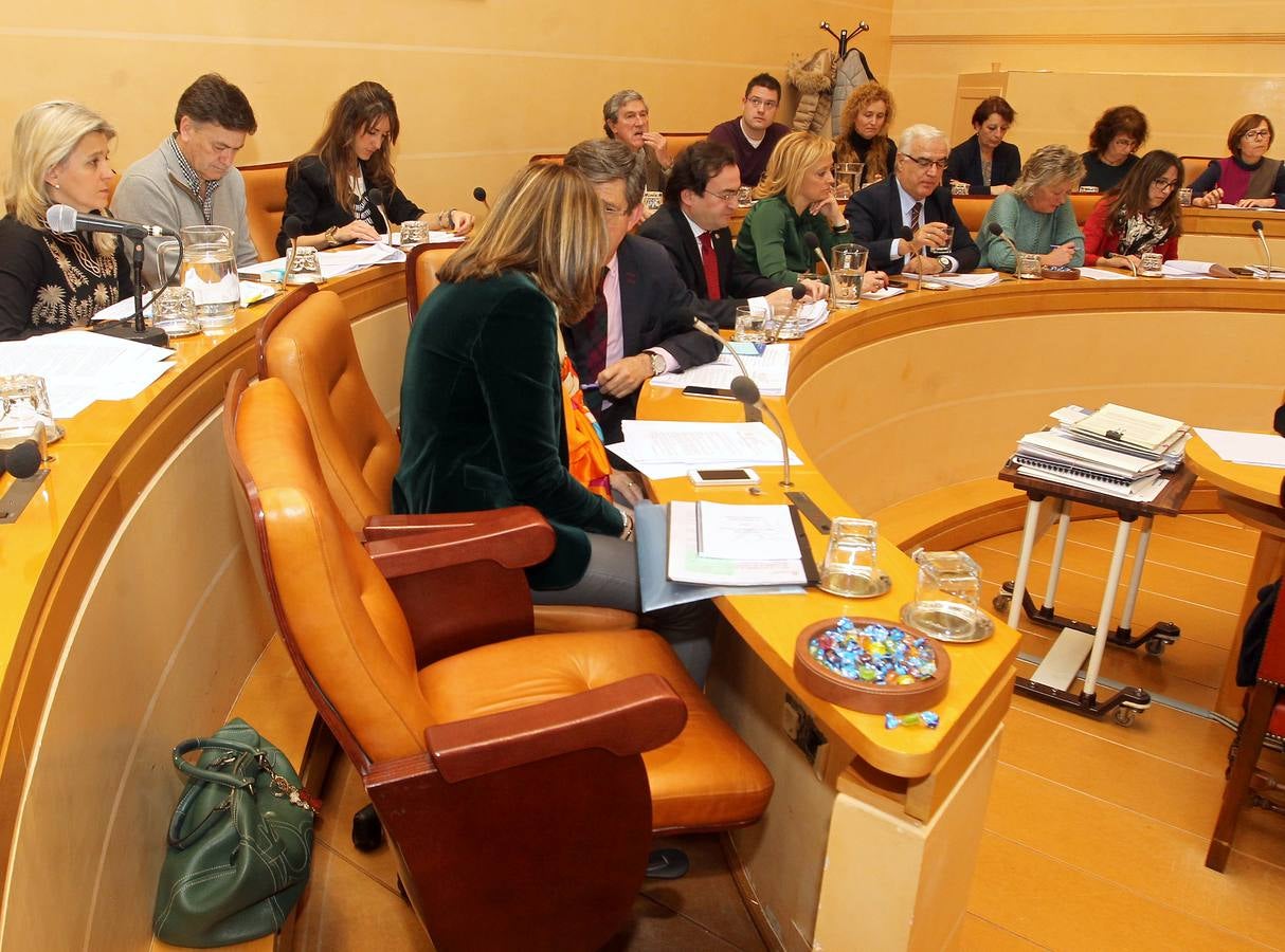 Pleno en el Ayuntamiento de Segovia