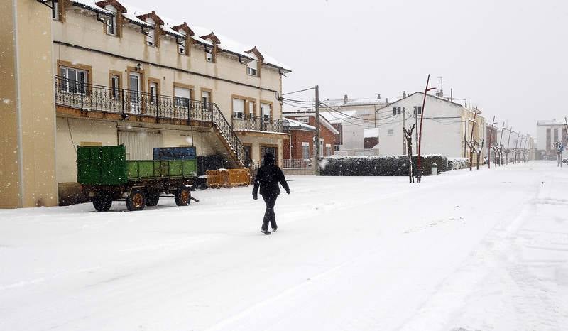 El temporal de nieve en el norte de Palencia