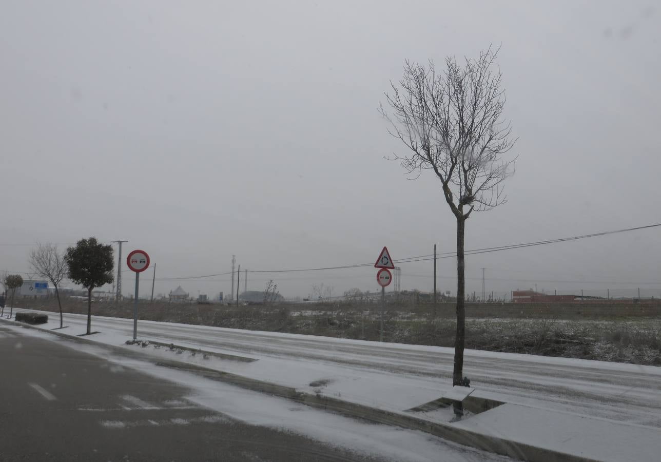 Nieve en Aldeamayor de San Martín.