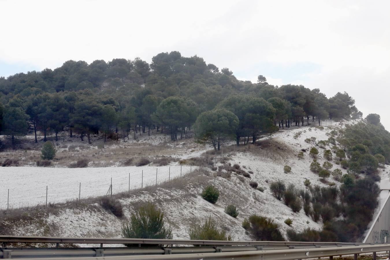 Nieve en el término de La Cistérniga.