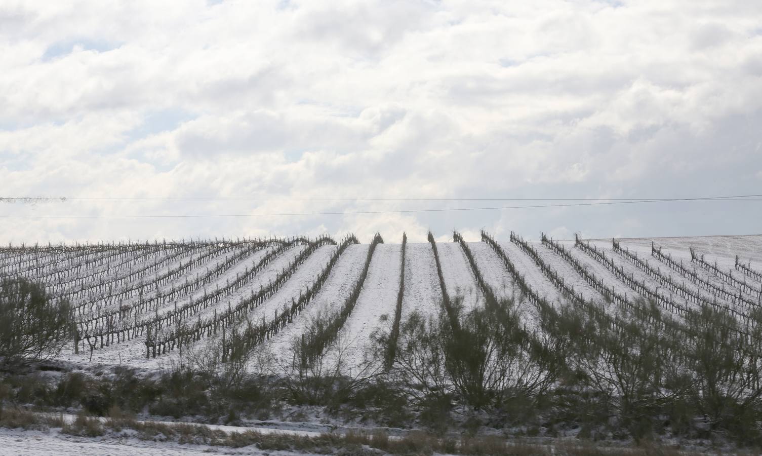 Nieve en el término de Tudela de Duero.