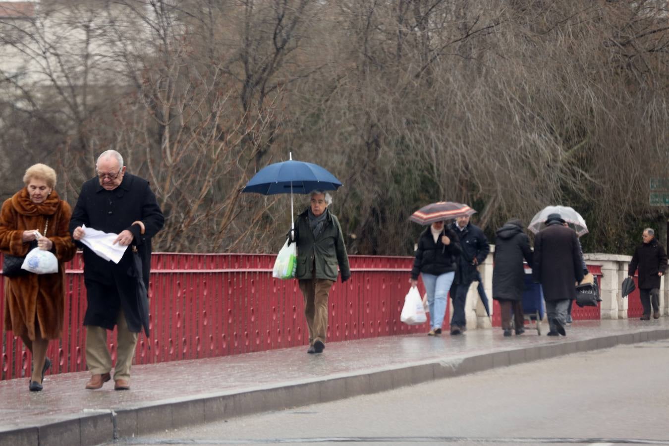 Frío y lluvia en Valladolid