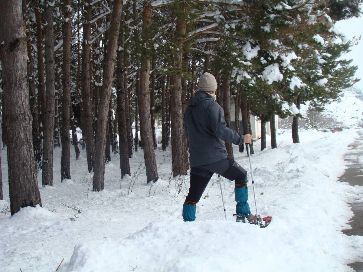 Jornada de nieve en Aguilar de Campoo (Palencia)