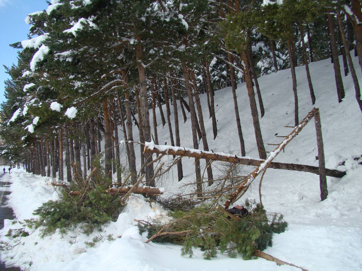 Jornada de nieve en Aguilar de Campoo (Palencia)