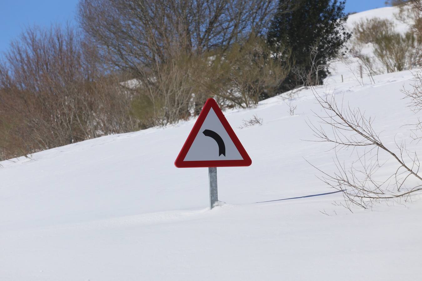 Carretera de Brañosera a Salcedillo.