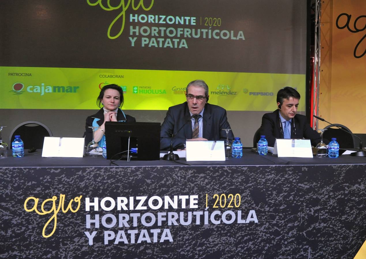 Jornada dedicada a la patata, la fruta y la hortaliza en el marco de Agrohorizonte 2020