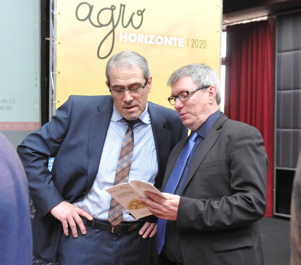 Jornada dedicada a la patata, la fruta y la hortaliza en el marco de Agrohorizonte 2020