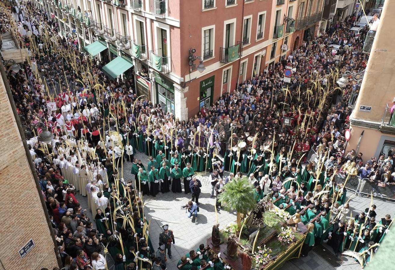 Multitudinaria procesión de las Palmas en Valladolid (1/2)