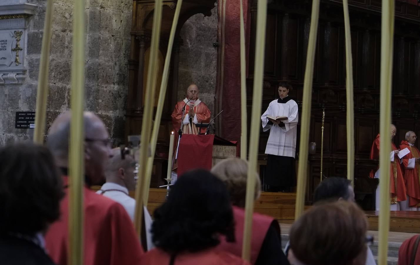 Multitudinaria procesión de las Palmas en Valladolid (1/2)