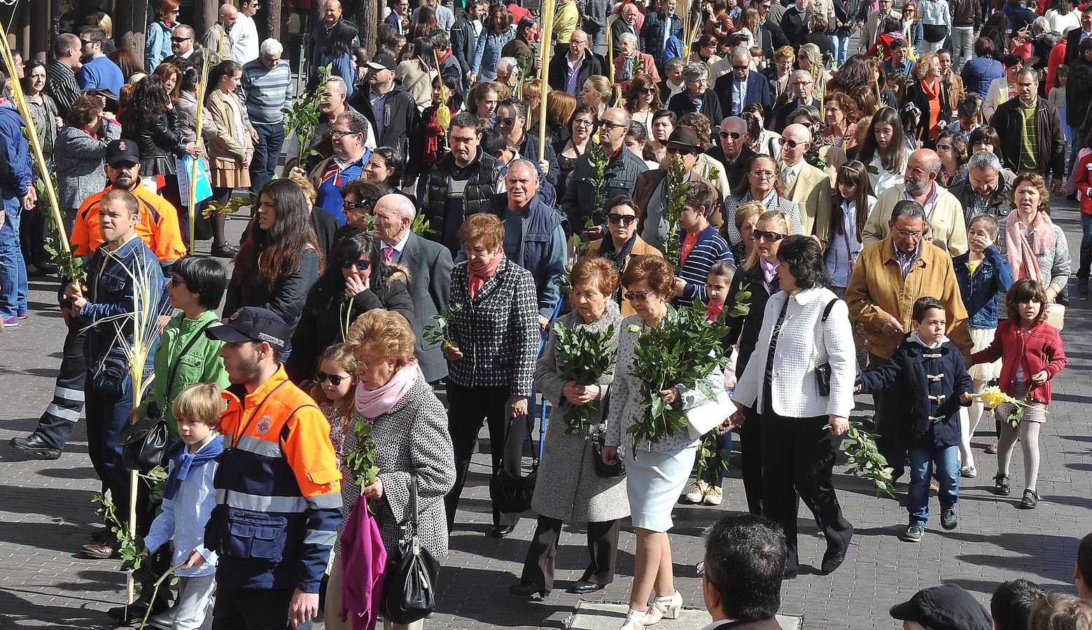 Procesión de la borriquilla en Medina del Campo