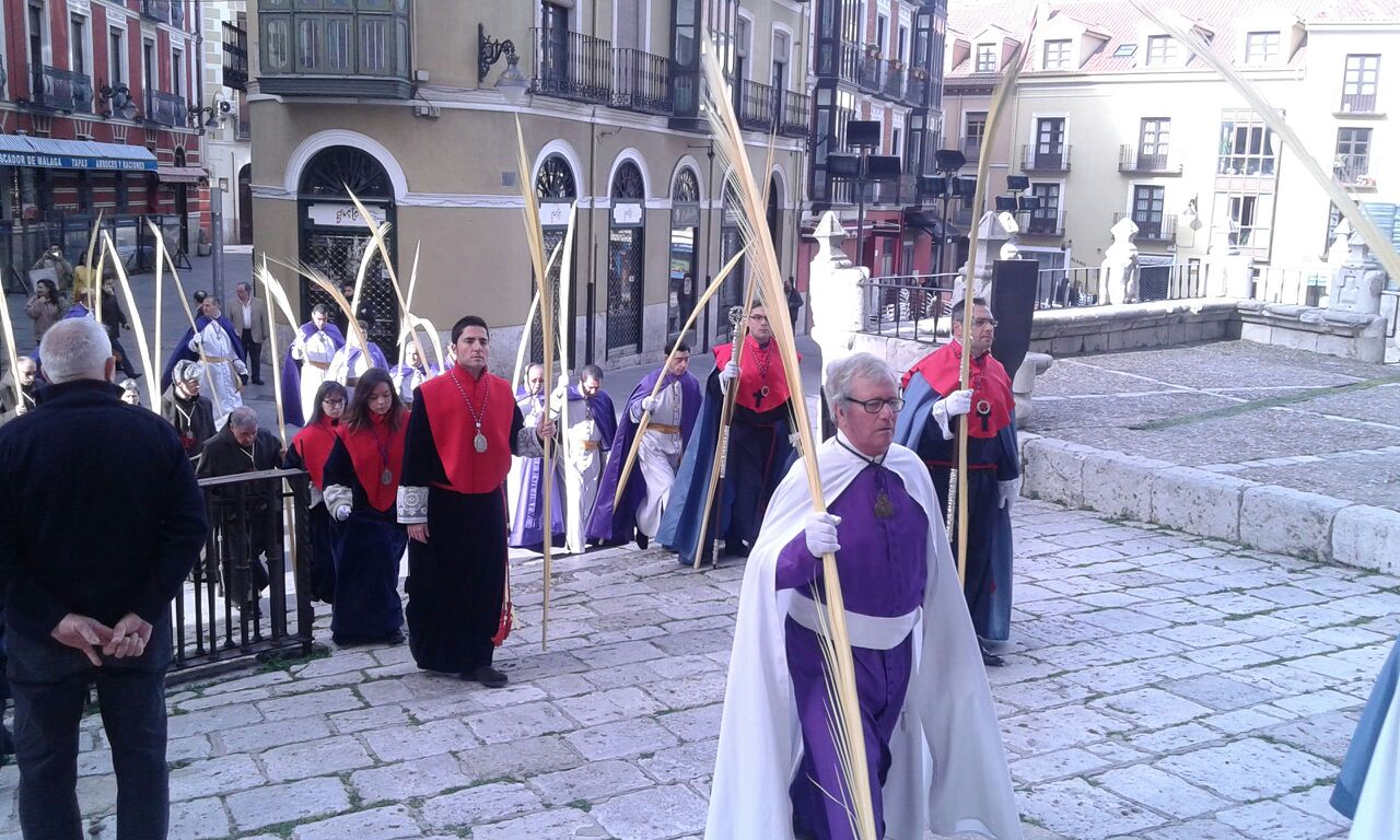 Procesión de las Palmas en Valladolid