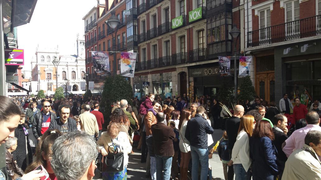 Procesión de las Palmas en Valladolid