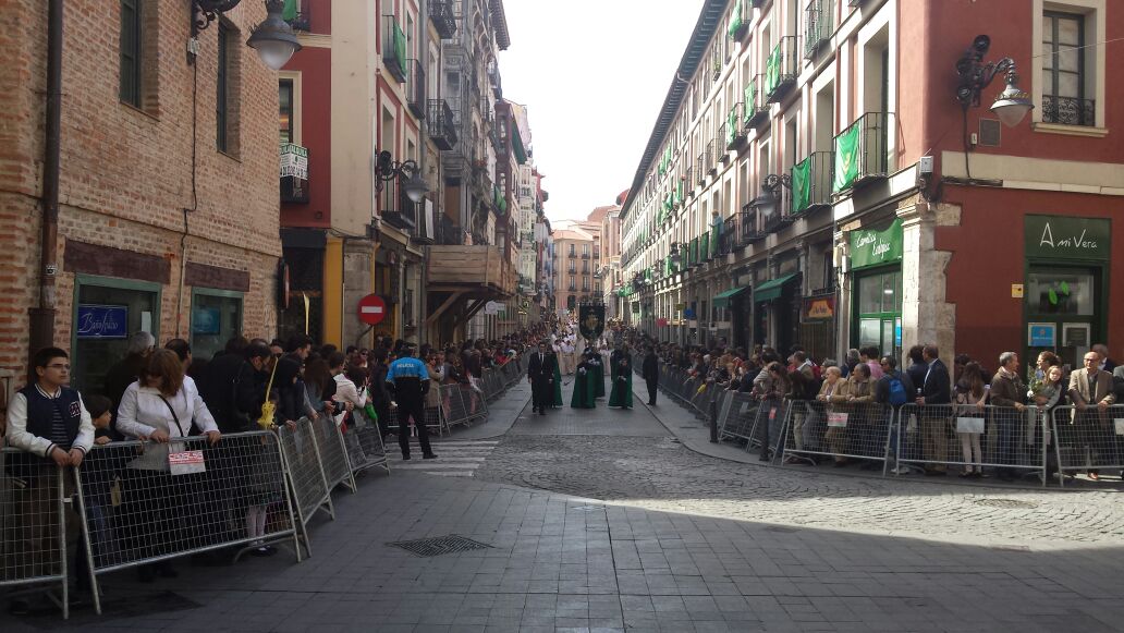 Procesión de las Palmas en Valladolid