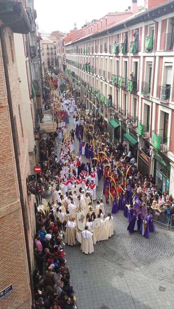 Procesión de las Palmas en Valladolid