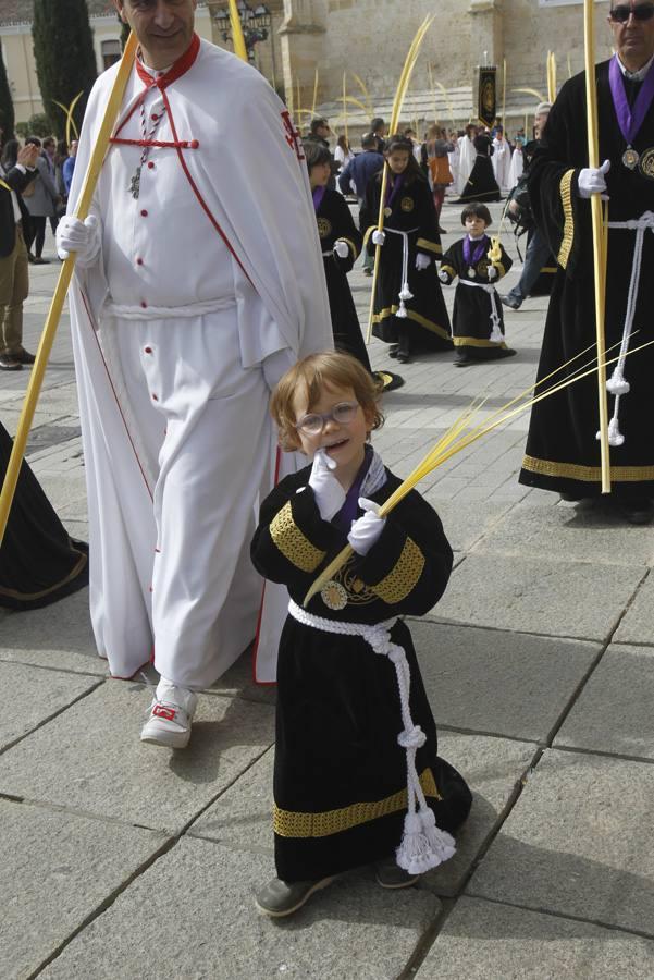 Procesión del Domingo de Ramos en Palencia