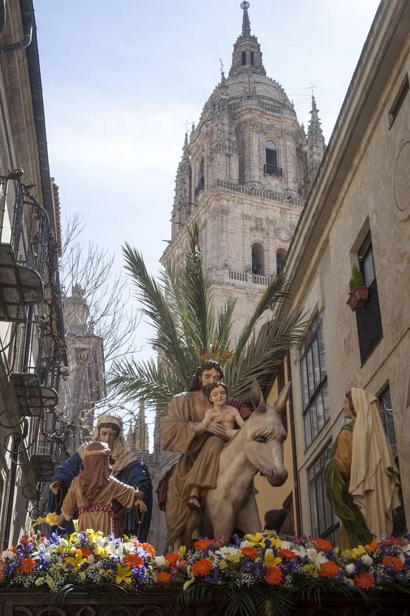 Procesión del Domingo de Ramos en Salamanca