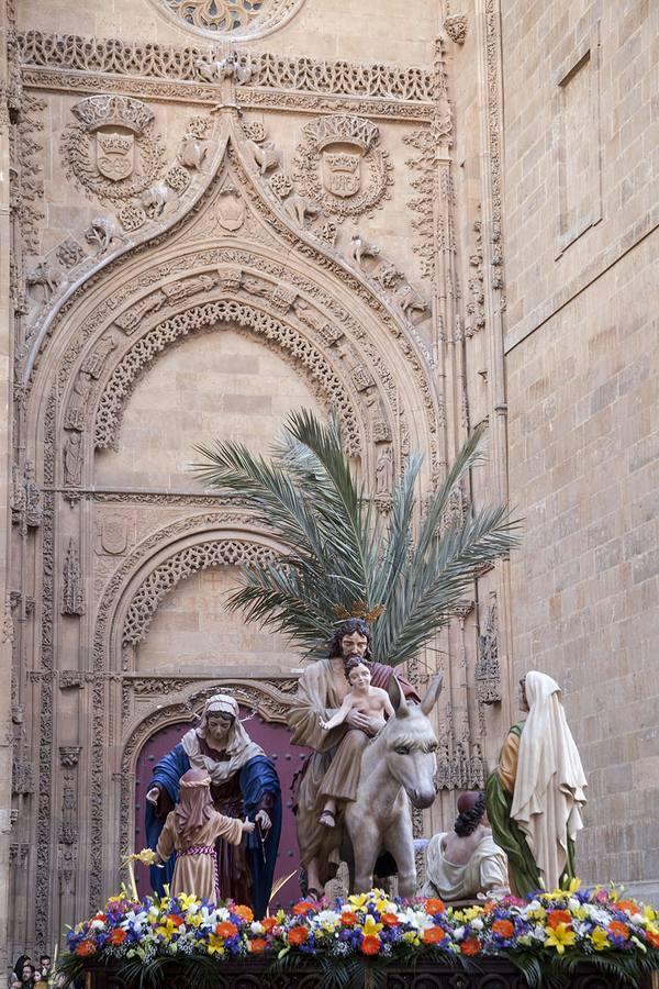 Procesión del Domingo de Ramos en Salamanca