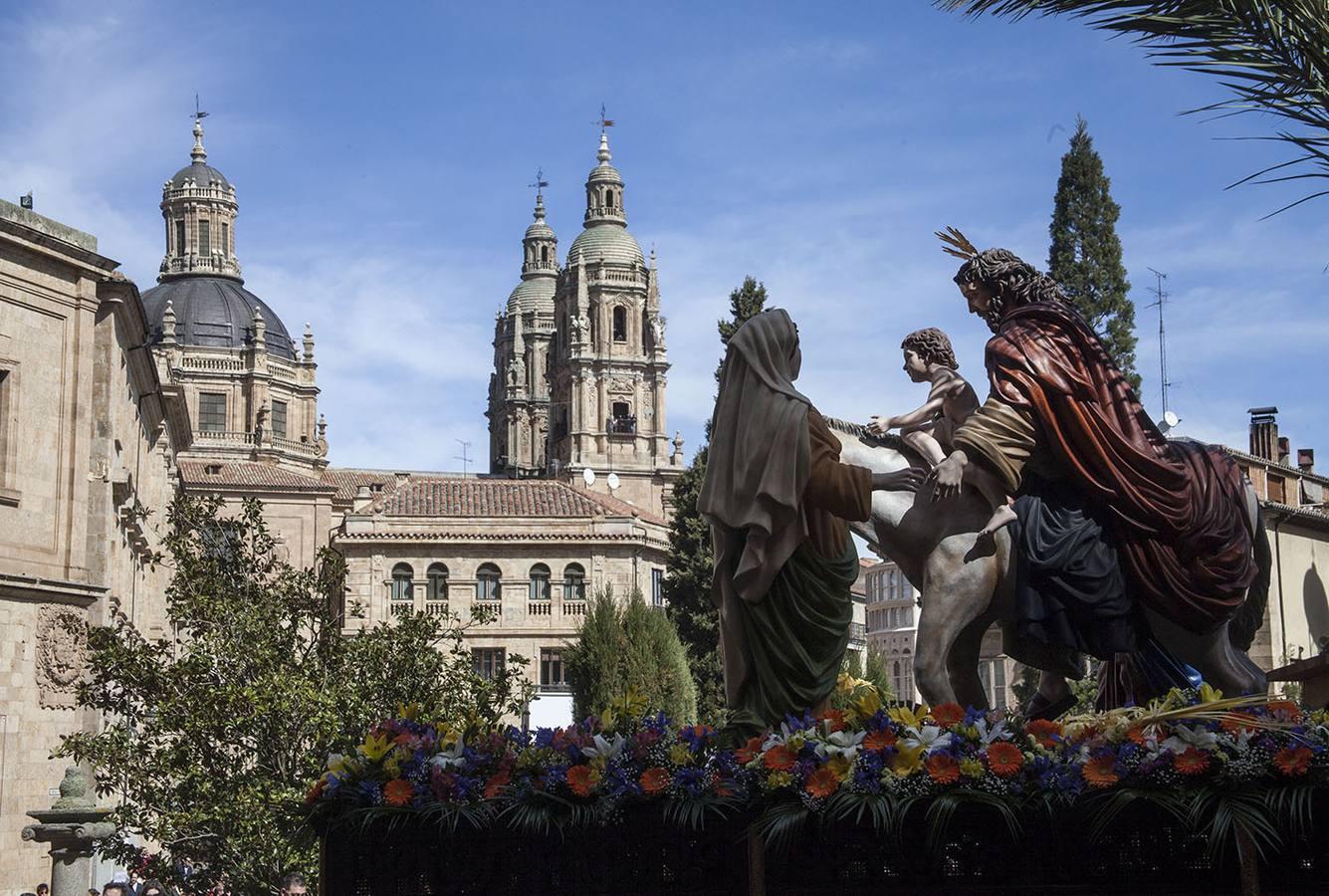 Procesión del Domingo de Ramos en Salamanca