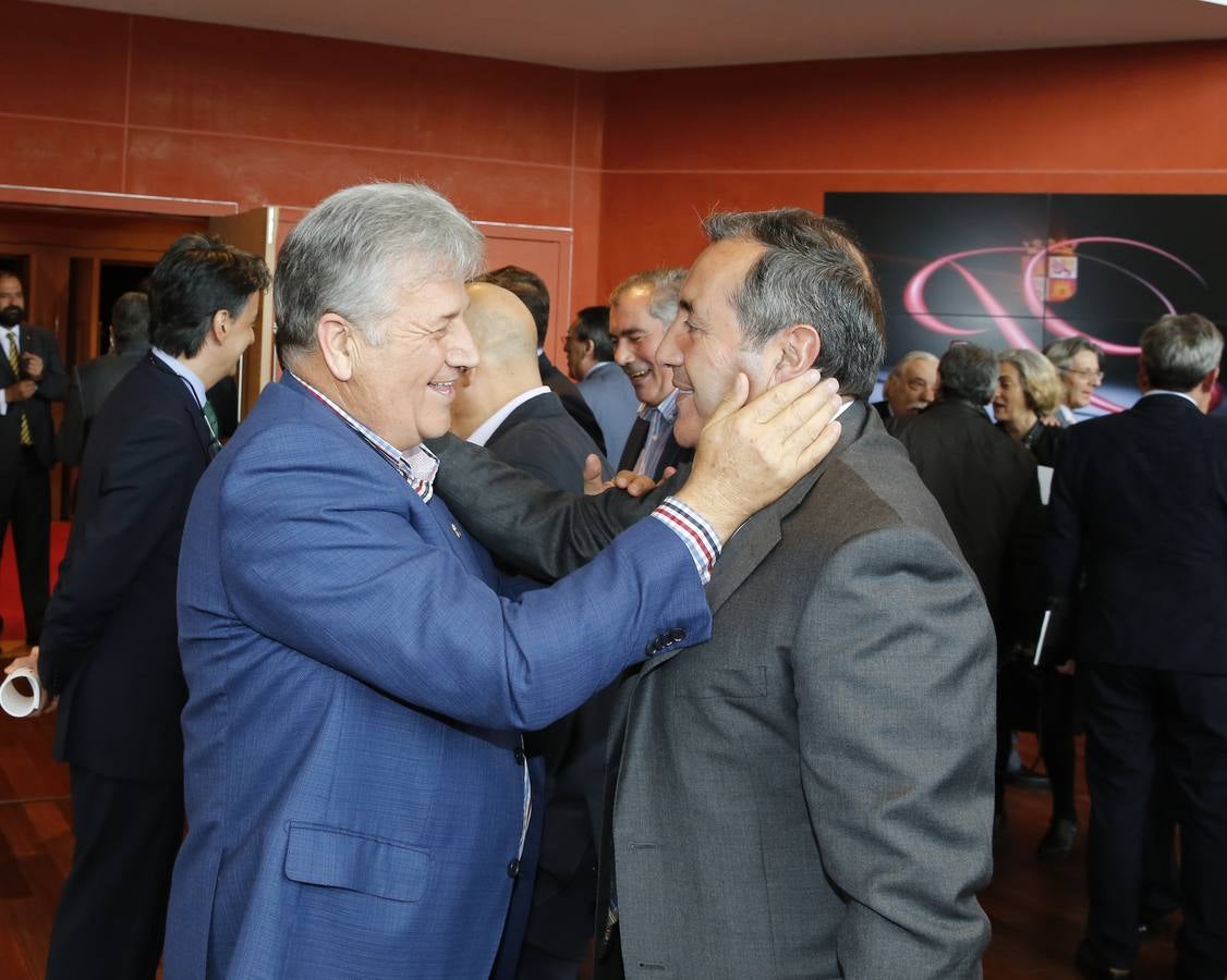 Entrega de los Premios Castilla y León 2014 (2/4)