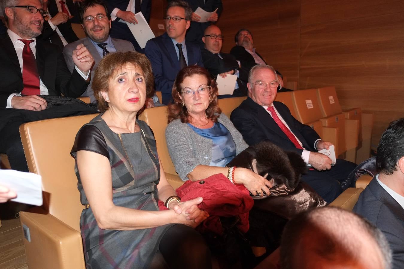 Entrega de los Premios Castilla y León 2014 (3/4)