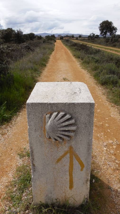 El camino de la peregrina desaparecida entre Astorga y El Ganso