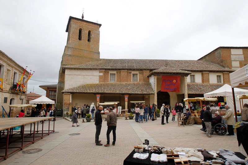Feria de la Tradición en Cisneros (Palencia)