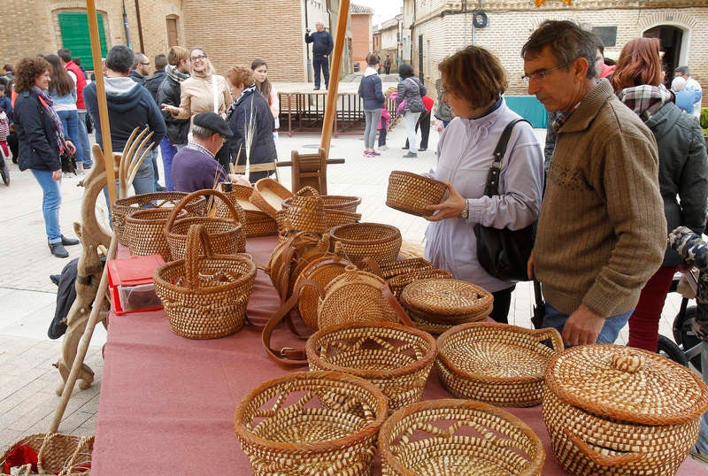 Feria de la Tradición en Cisneros (Palencia)