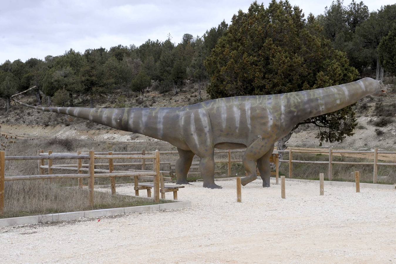 Yacimiento La Pedraja.