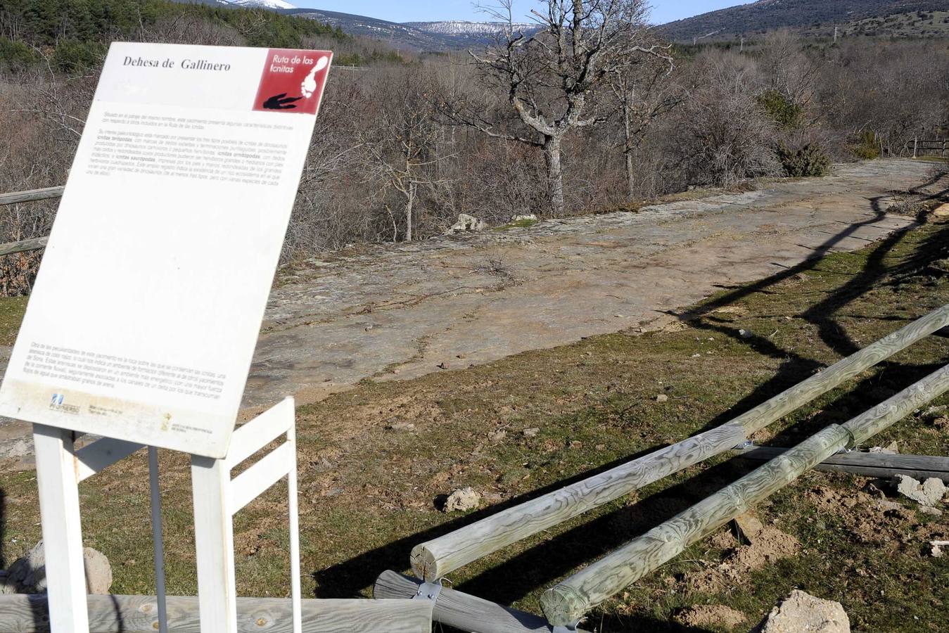 Yacimiento Dehesa de Gallinero.