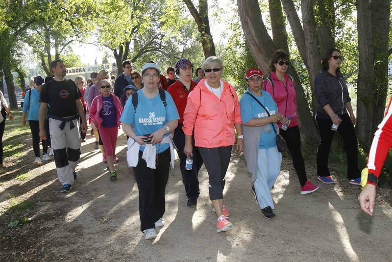 Sexta edición de la Marcha Aspanis en Palencia