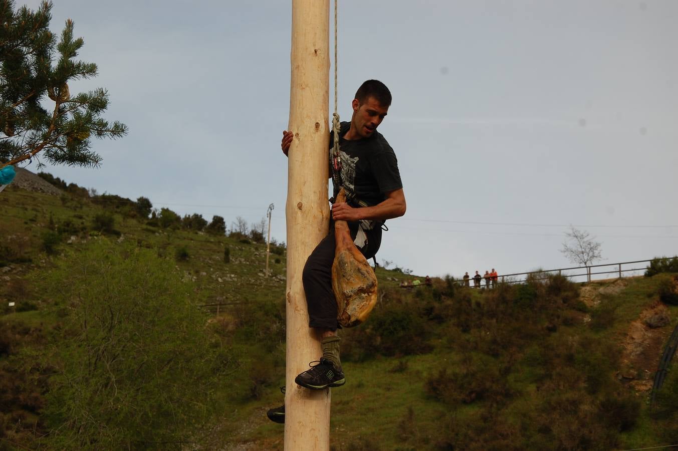 Fiesta del Mayo de Velilla