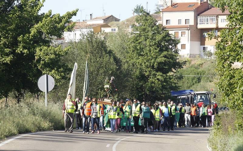 Romería de San Isidro en Dueñas (Palencia)