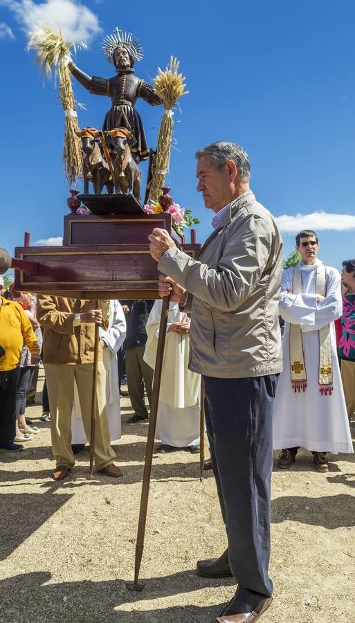 Festividad de San Isidro Labrador en Valladolid