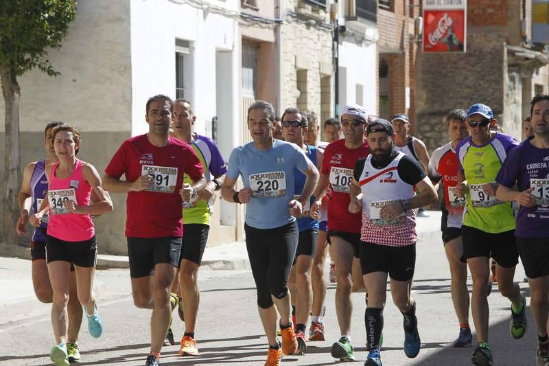 Media Maratón de Cerrato en Baltanás (Palencia) (1/2)