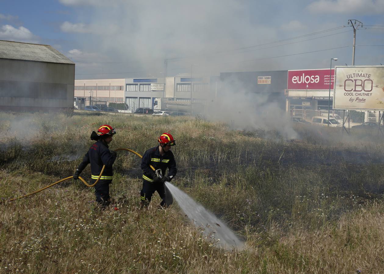 Trabajadores de las ITV de Castilla y León se manifiestan en el polígono de Argales de Valladolid